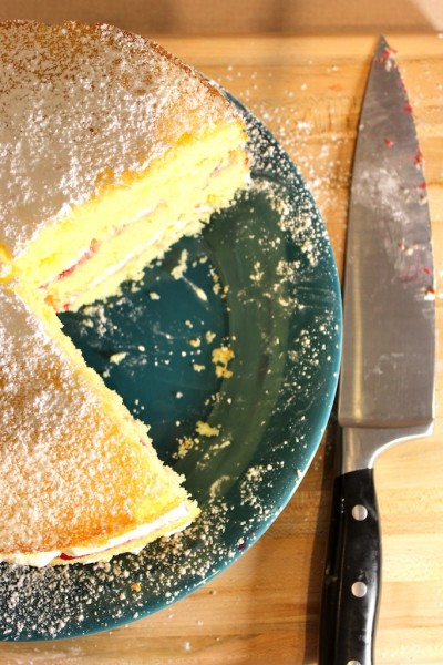 Sponge 1